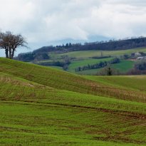 Pergola Le Marche
