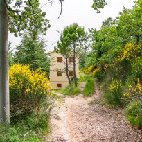 San Severino Marche Le Marche