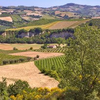 Carassai Le Marche