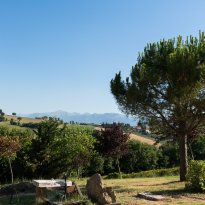 Tolentino Le Marche