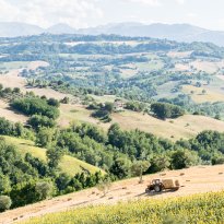 Colmurano Le Marche