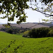 Fano Le Marche