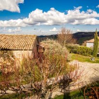 Mergo Le Marche