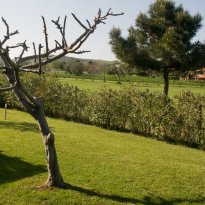 Miglianico Abruzzo