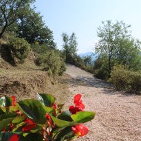 Dolceacqua Liguria