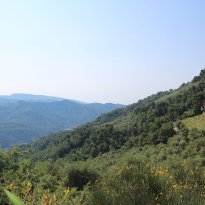 Dolceacqua Liguria