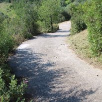 Dolceacqua Liguria