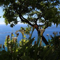 Bordighera Liguria