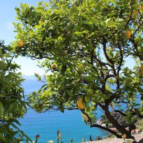 Bordighera Liguria