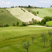 Belvedere Ostrense Le Marche