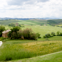 Belvedere Ostrense Le Marche