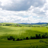 Belvedere Ostrense Le Marche