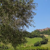 Gualdo Le Marche