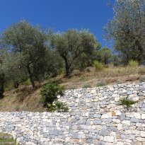 Olivetta Liguria