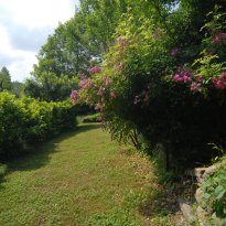Dogliani Piemonte