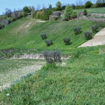 Monte Giberto Le Marche