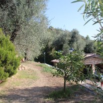Dolceacqua Liguria