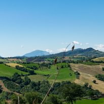 San Ginesio Le Marche