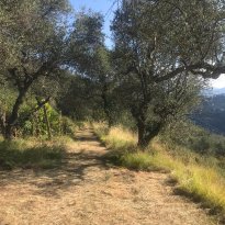 Perinaldo Liguria