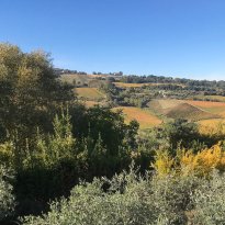 Ripatransone Le Marche