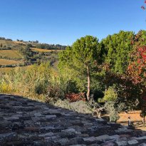 Ripatransone Le Marche