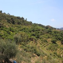 Vallebona Liguria