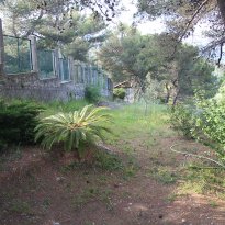 Camporosso Liguria