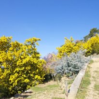 Perinaldo Liguria