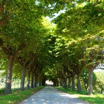Potenza Picena Le Marche
