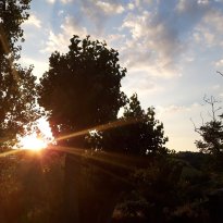 Barchi - Terre Roveresche Le Marche