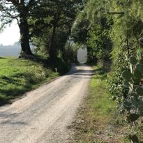 Barchi - Terre Roveresche Le Marche