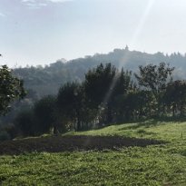 Barchi - Terre Roveresche Le Marche