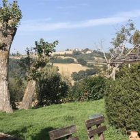 Barchi - Terre Roveresche Le Marche