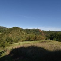 Venarotta Le Marche