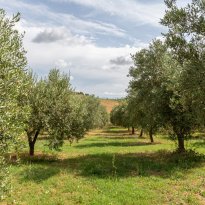 Castiglione del Lago Umbria