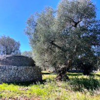 Ceglie Messapica Puglia