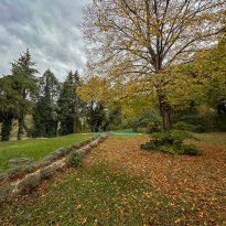 Terre Roveresche Le Marche