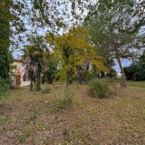 Terre Roveresche Le Marche