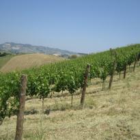 Borgo Miriam Le Marche