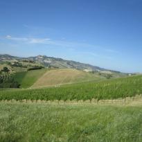 Borgo Miriam Le Marche