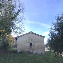 Arcevia Le Marche