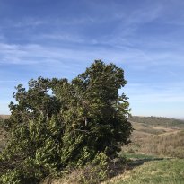 Arcevia Le Marche