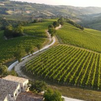 Cupramontana Le Marche
