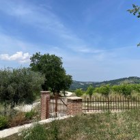 Cupramontana Le Marche