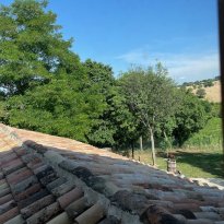 Cupramontana Le Marche