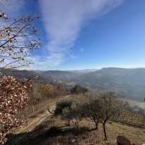 Prasco Piemonte