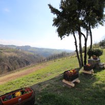 Clavesana Piemonte