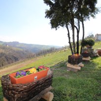 Clavesana Piemonte