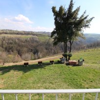 Clavesana Piemonte