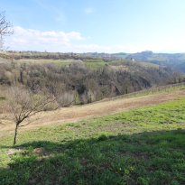 Clavesana Piemonte